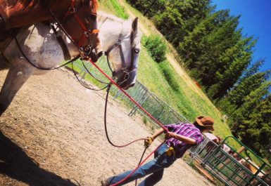 Copper_Mountain_horseback_riding