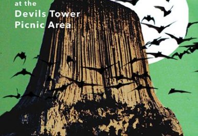 bat-festival_for-web_1