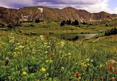 pass_lake_wildflwers